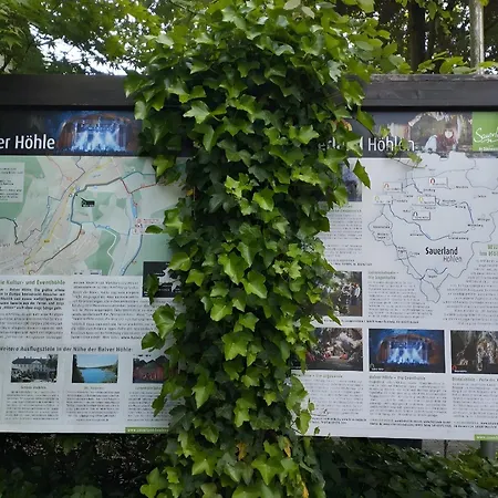 Apartment Panoramanest *