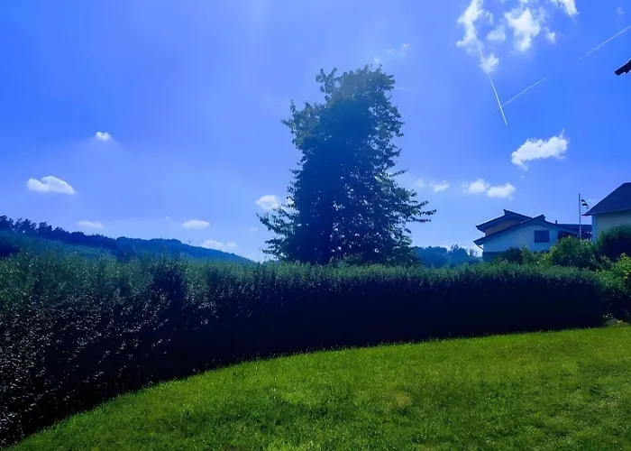 Panoramanest Balve